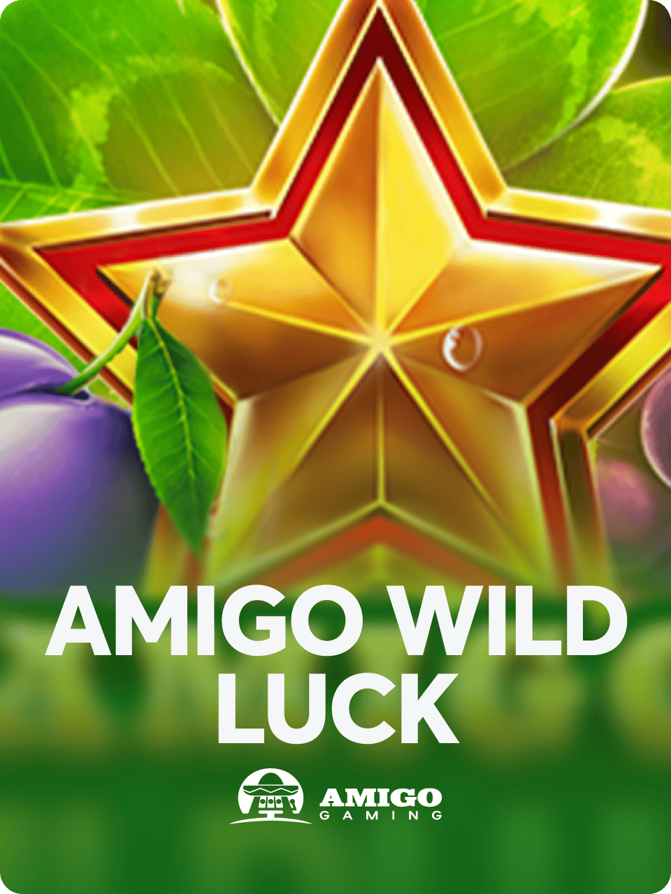 Amigo Wild Luck