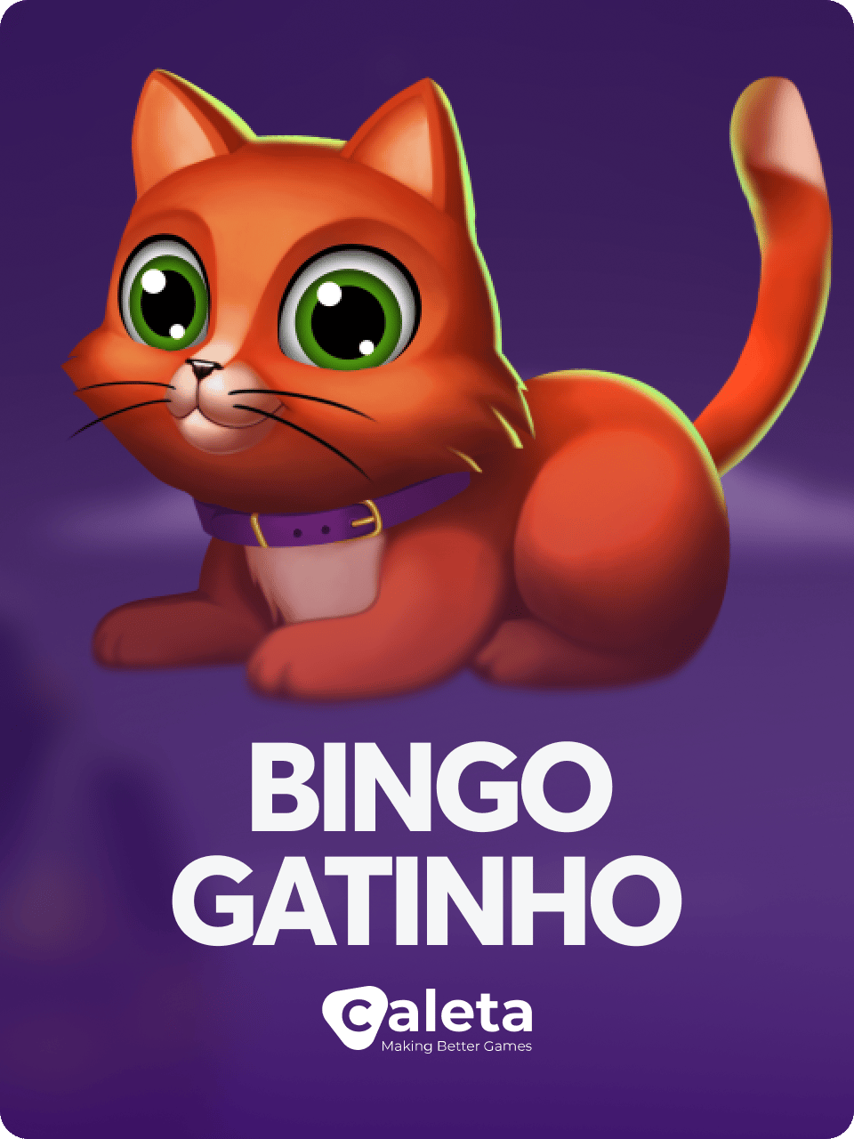 Bingo Gatinho