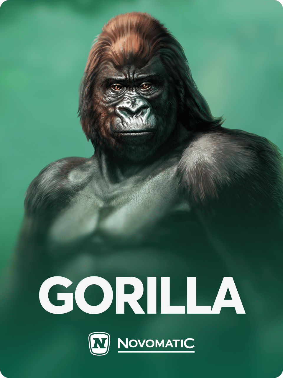 Gorilla