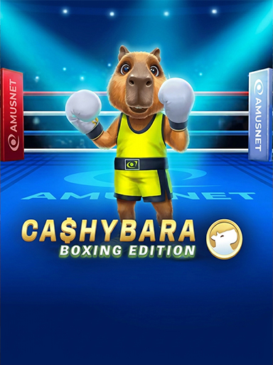 Cashybara Boxing Edition