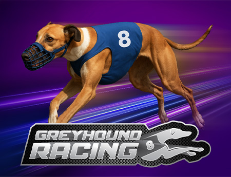 Virtual 8 Greyhounds