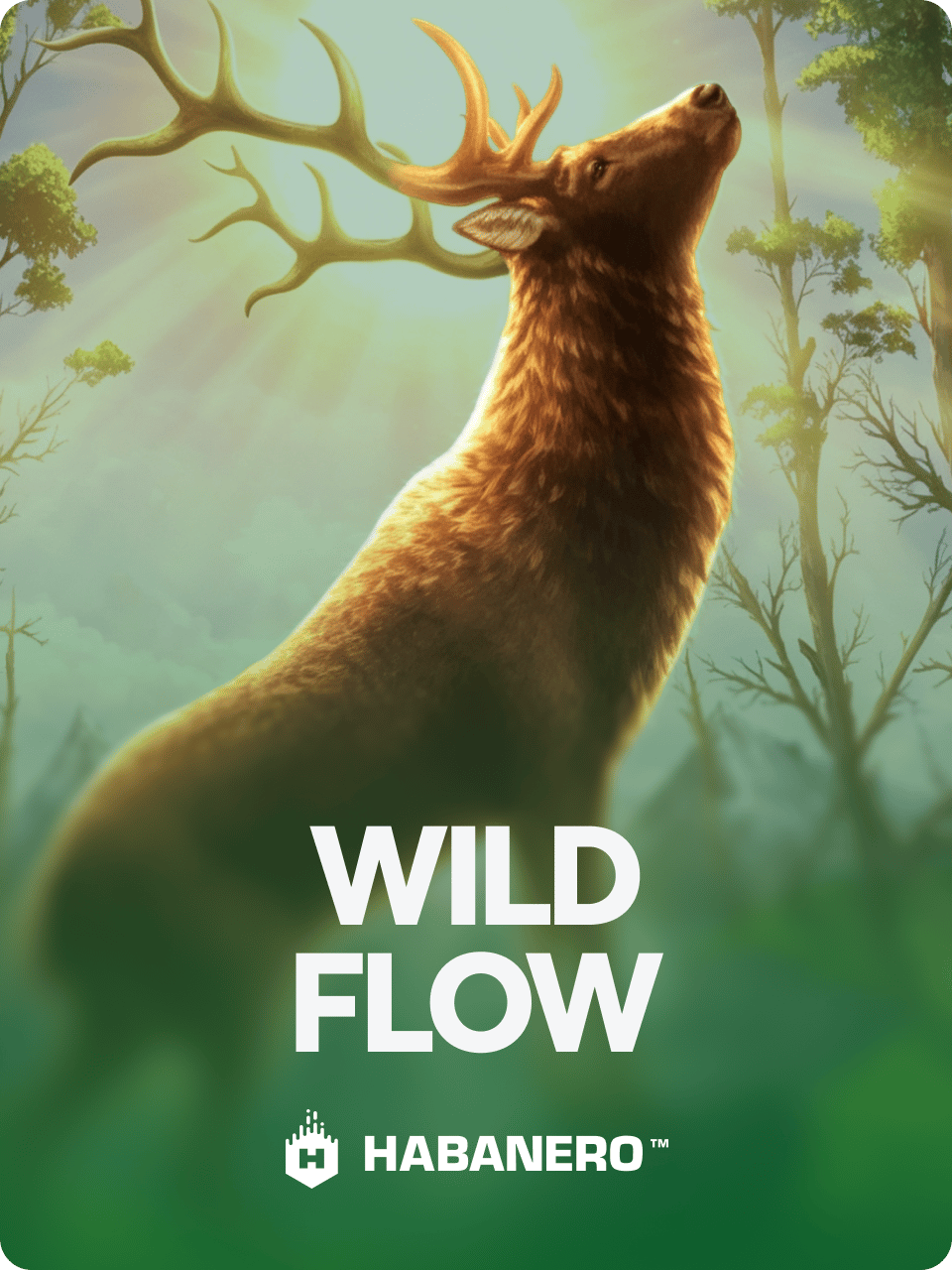 Wild Flow