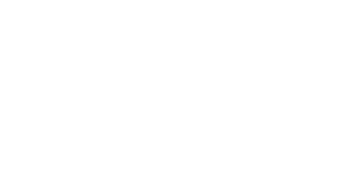 Iconix Interactive