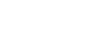 Netgame